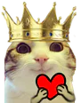 :chat_marrant_roicoeur: