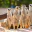 Photo de profil de Suricate