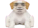 :Chien_Bourdon_Symetrie_Atroce: