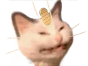 :miaouss_content: