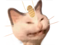 :miaouss_content: