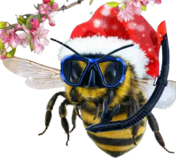 :CleaMolette_abeille: