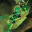 Photo de profil de Bionicle