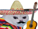 :chatMexicain:
