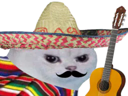 :chatMexicain: