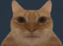 :Lunettage: