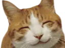 :Happycat: