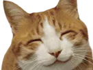 :Happycat: