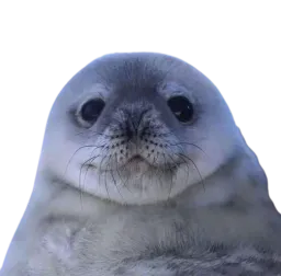 :Phoque: