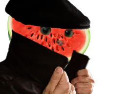 :sodium_masque_pasteque: