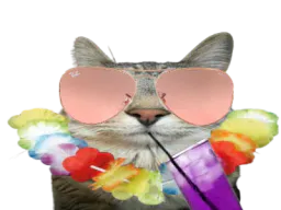 :CS_Vacance: