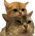 :Chatchat: