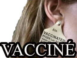 :bijou_vaccine: