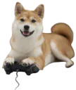 :Chien_gamer: