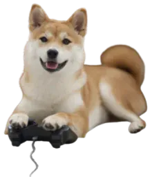 :Chien_gamer: