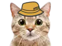 :Chapexbob: