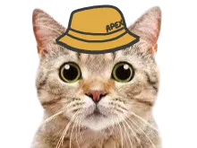 :Chapexbob: