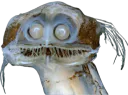 :Poisson_0: