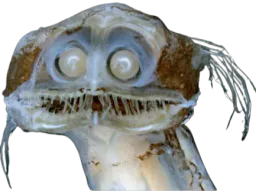 :Poisson_0: