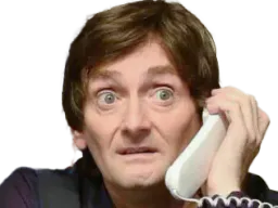 :palmade_telephone: