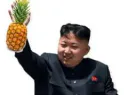 :leader_ananas: