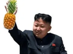 :leader_ananas:
