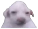 :purer3: