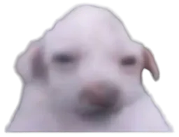 :purer3: