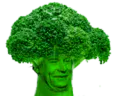 :broccolissou: