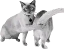 :chatcul: