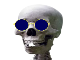 :squelette_zoom: