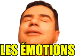 :les_emotions: