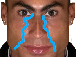 :ronaldolarme: