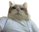 :chaprio: