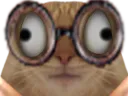 :chat_strabisme:
