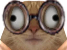 :chat_strabisme: