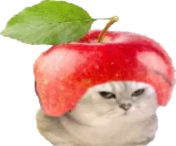 :chatbrushingpomme: