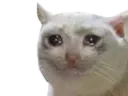 :Chatriste_: