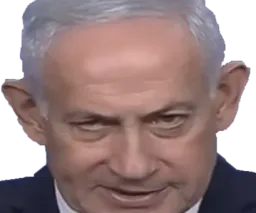 :netanyahou_zoom: