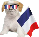 :Chien_Bourdon_France_supporter: