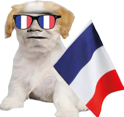 :Chien_Bourdon_France_supporter: