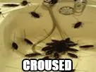 :croused_cafard: