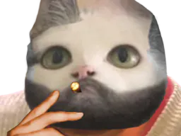 :chat_clope_: