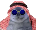 :Phoque_saoudien_notreadyent: