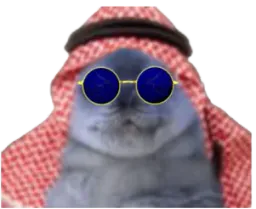 :Phoque_saoudien_notreadyent: