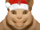 :Chat_Bouh: