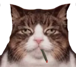 :Chat_fume: