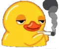 :poussindef: