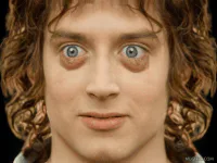 :frodon_gif:
