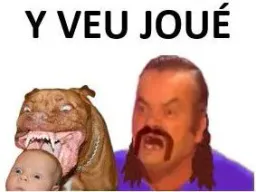 :y_veu_jouer: